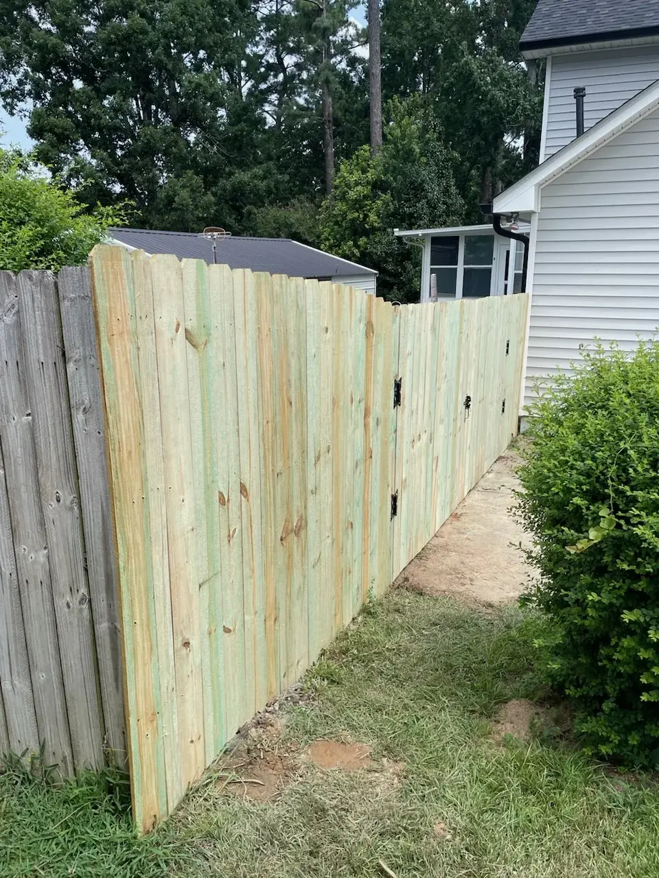 Tree Service